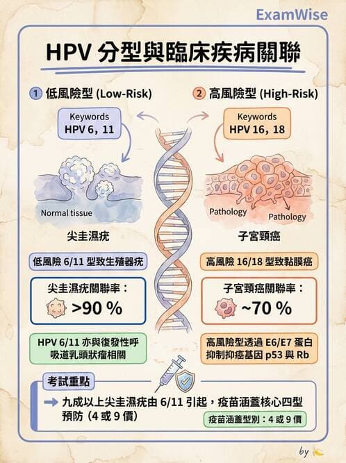 醫檢師 - 腎臟泌尿及男性生殖疾病 - AI 圖文解析預覽