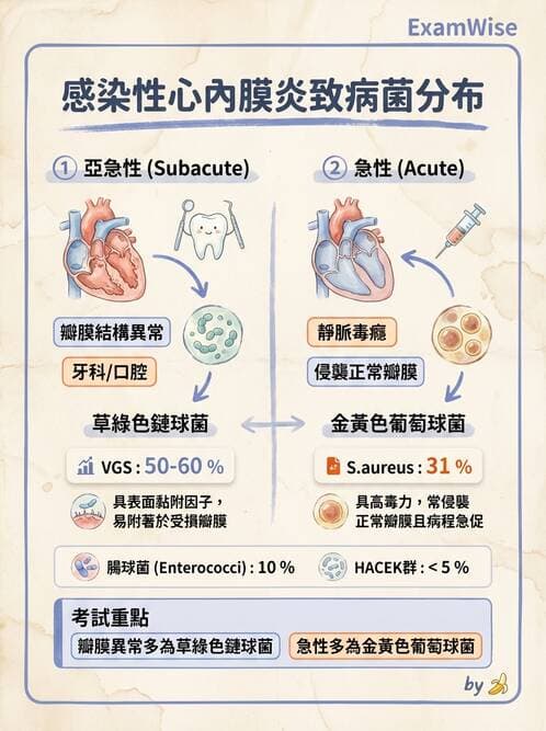 醫檢師 - 心血管疾病 - AI 圖文解析預覽