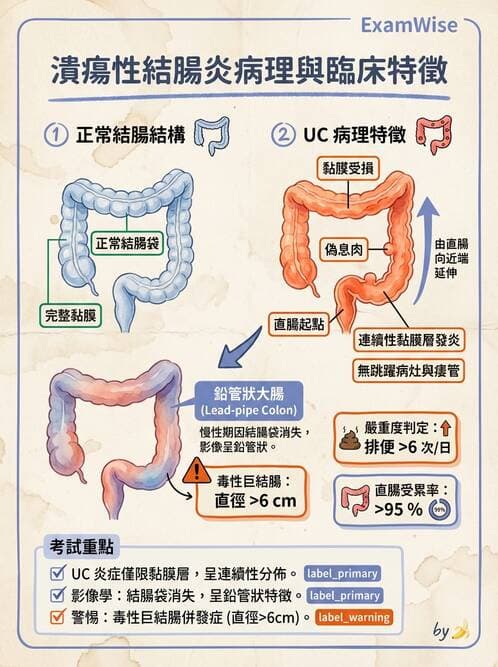 醫檢師 - 消化肝膽疾病 - AI 圖文解析預覽