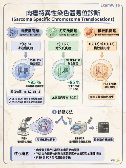 醫檢師 - 骨骼及軟組織疾病 - AI 圖文解析預覽