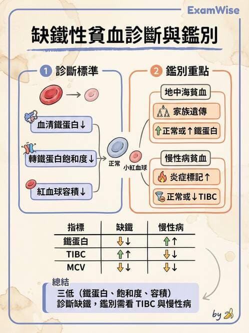 醫檢師 - 貧血診斷與營養缺乏性貧血 - AI 圖文解析預覽