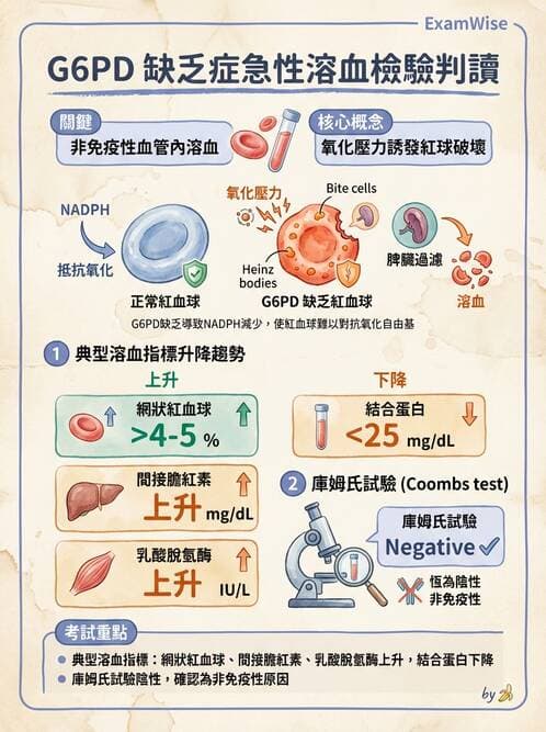 醫檢師 - 溶血性貧血與血色素病變 - AI 圖文解析預覽