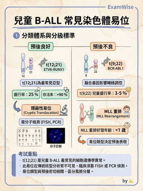 醫檢師 - 急性白血病 - AI 圖文解析預覽
