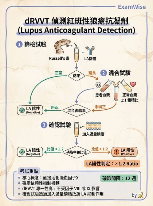 醫檢師 - 血栓性疾病與抗凝治療監測 - AI 圖文解析預覽