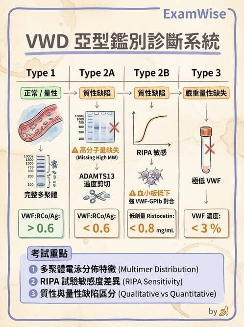 醫檢師 - 出血性疾病與檢驗 - AI 圖文解析預覽