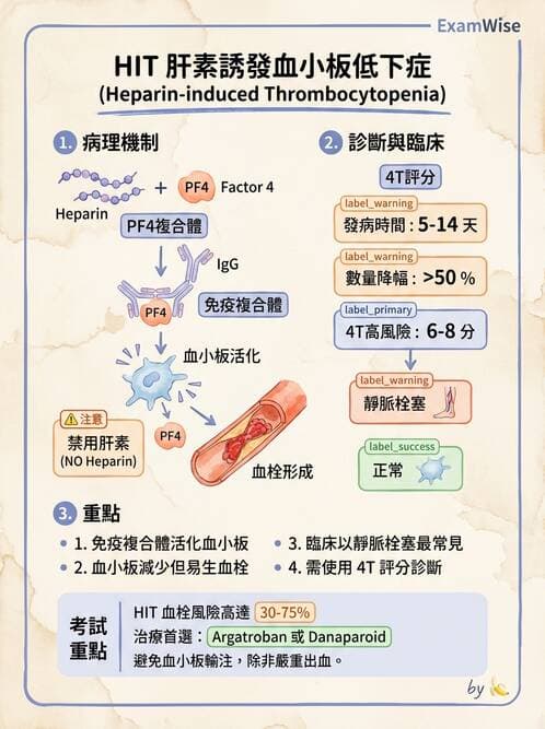 醫檢師 - 血栓性疾病與抗凝治療監測 - AI 圖文解析預覽