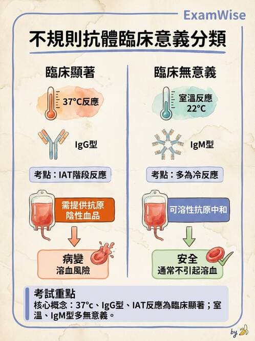 醫檢師 - 紅血球抗原與血型系統 - AI 圖文解析預覽