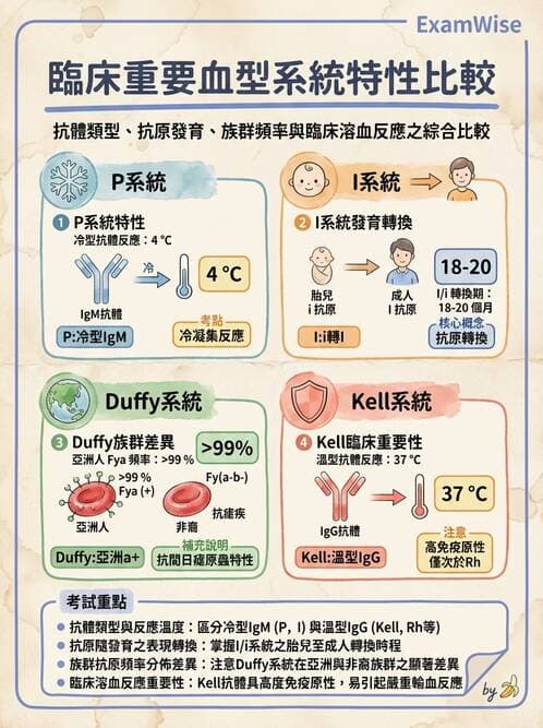 醫檢師 - 紅血球抗原與血型系統 - AI 圖文解析預覽