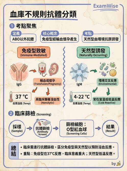 醫檢師 - 紅血球抗原與血型系統 - AI 圖文解析預覽