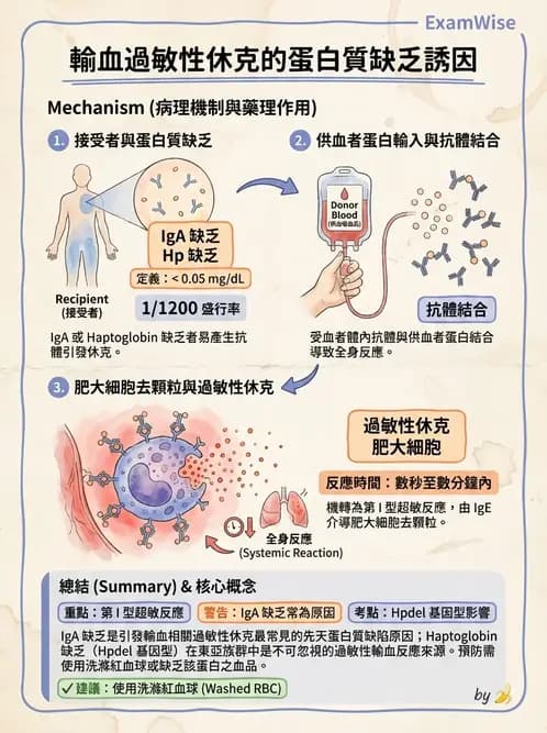 醫檢師 - 輸血反應與血庫品管 - AI 圖文解析預覽