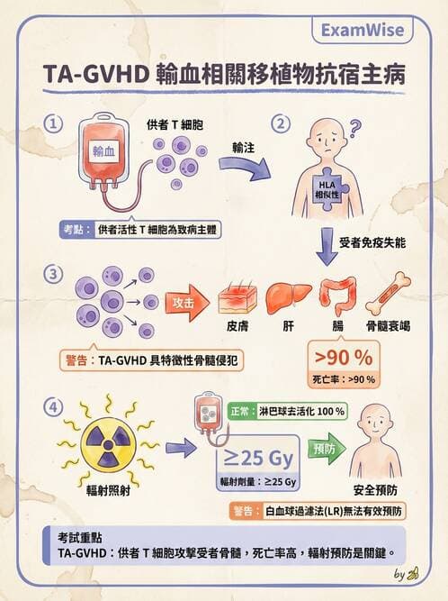 醫檢師 - 輸血反應與血庫品管 - AI 圖文解析預覽