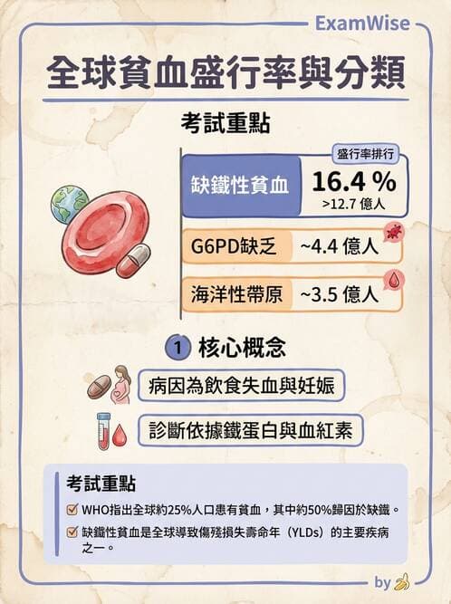 醫檢師 - 貧血診斷與營養缺乏性貧血 - AI 圖文解析預覽