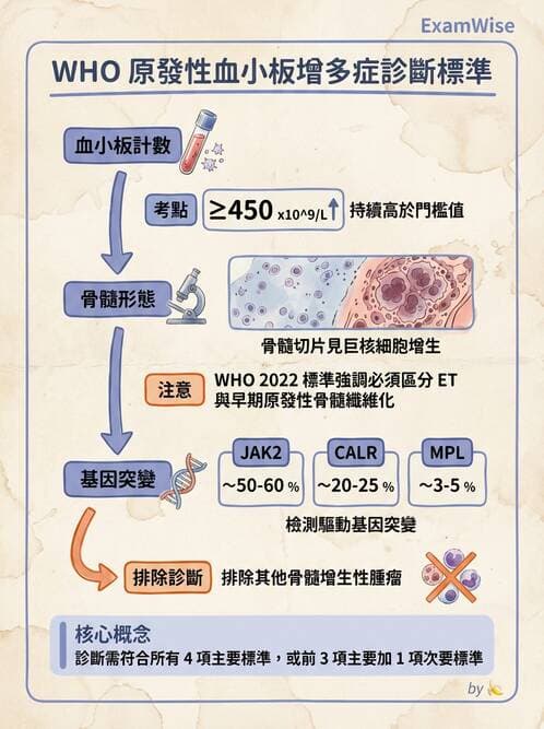 醫檢師 - 慢性血液腫瘤與骨髓增生疾患 - AI 圖文解析預覽
