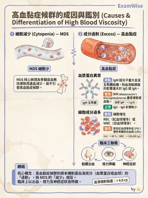 醫檢師 - 慢性血液腫瘤與骨髓增生疾患 - AI 圖文解析預覽