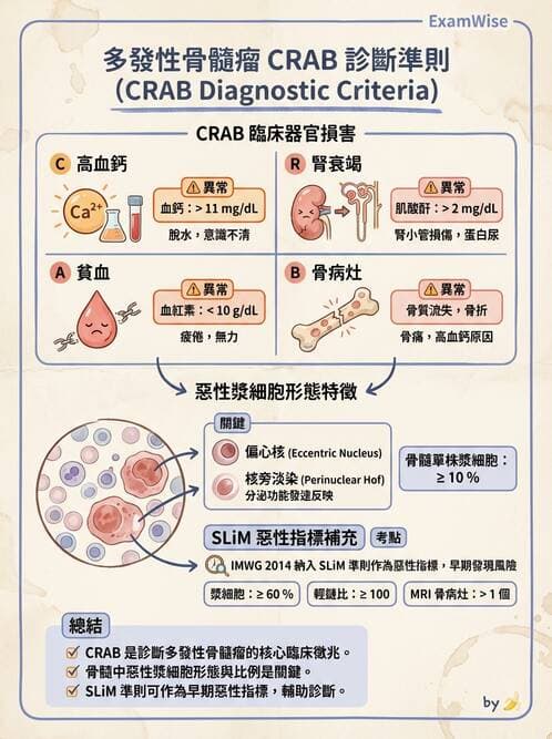 醫檢師 - 淋巴瘤、漿細胞疾病與白血球異常 - AI 圖文解析預覽