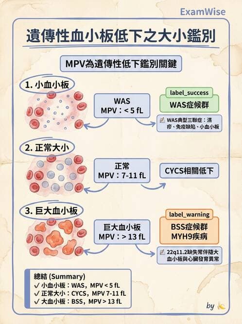 醫檢師 - 出血性疾病與檢驗 - AI 圖文解析預覽