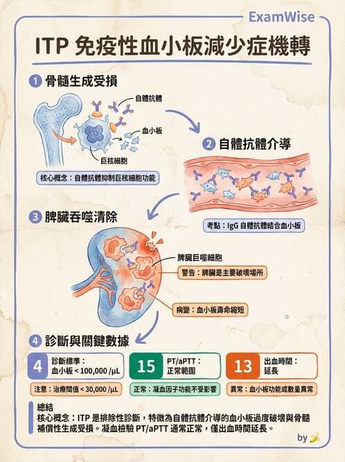 醫檢師 - 出血性疾病與檢驗 - AI 圖文解析預覽