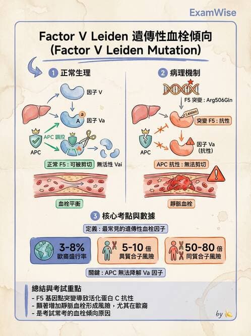 醫檢師 - 血栓性疾病與抗凝治療監測 - AI 圖文解析預覽