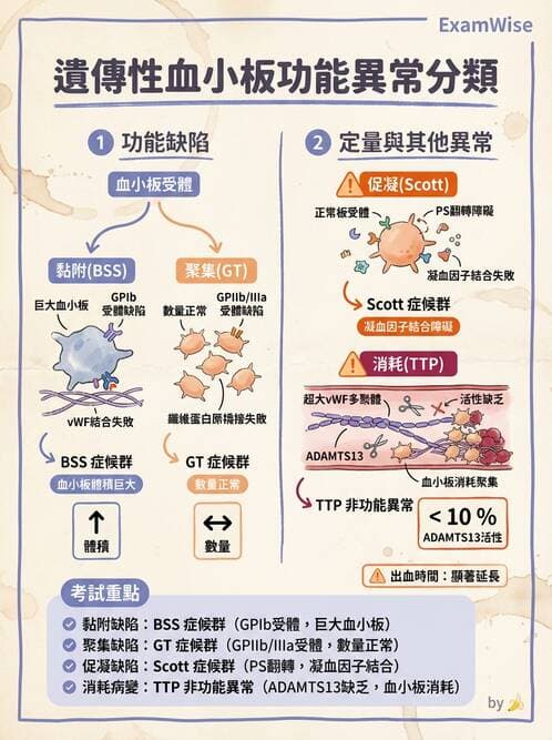 醫檢師 - 出血性疾病與檢驗 - AI 圖文解析預覽