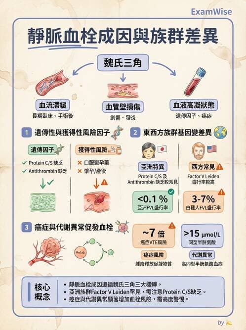 醫檢師 - 血栓性疾病與抗凝治療監測 - AI 圖文解析預覽