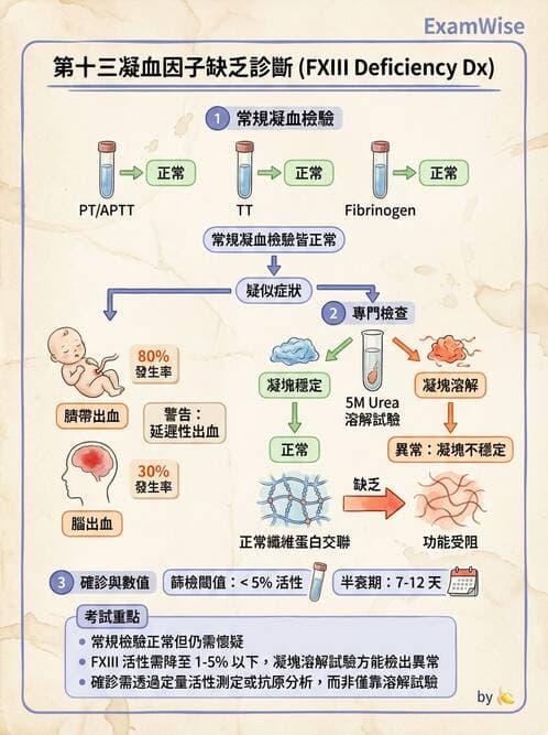 醫檢師 - 出血性疾病與檢驗 - AI 圖文解析預覽