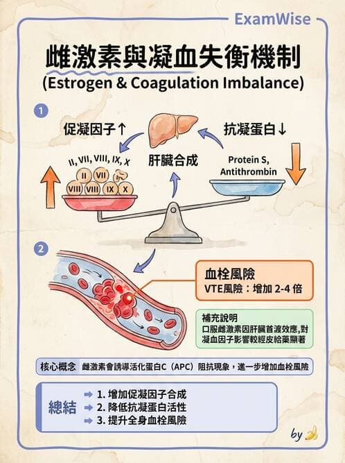 醫檢師 - 血栓性疾病與抗凝治療監測 - AI 圖文解析預覽