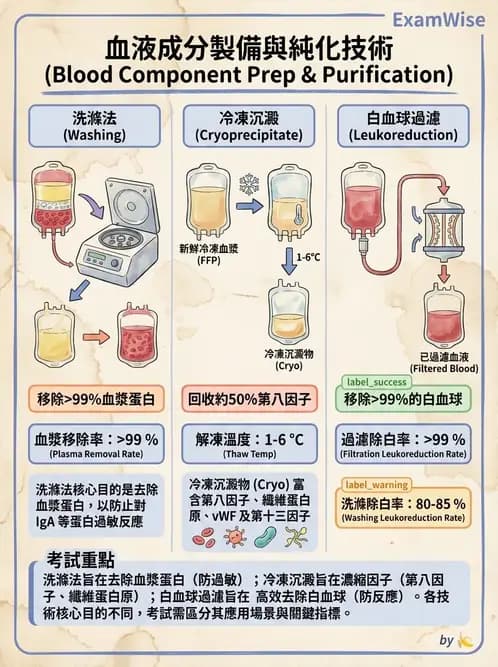 醫檢師 - 血液成分製備與輸血檢查 - AI 圖文解析預覽