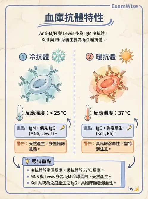 醫檢師 - 紅血球抗原與血型系統 - AI 圖文解析預覽