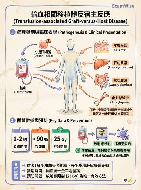 醫檢師 - 輸血反應與血庫品管 - AI 圖文解析預覽