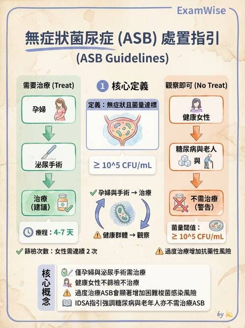 專師 - 泌尿道感染 - AI 圖文解析預覽