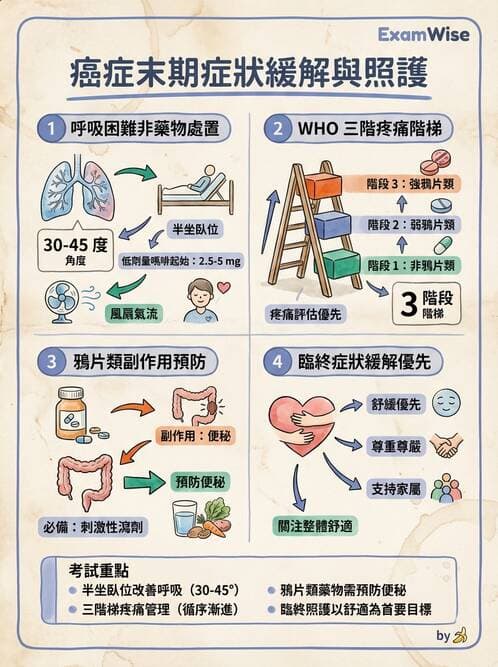 專師 - 安寧緩和與臨終照護 - AI 圖文解析預覽