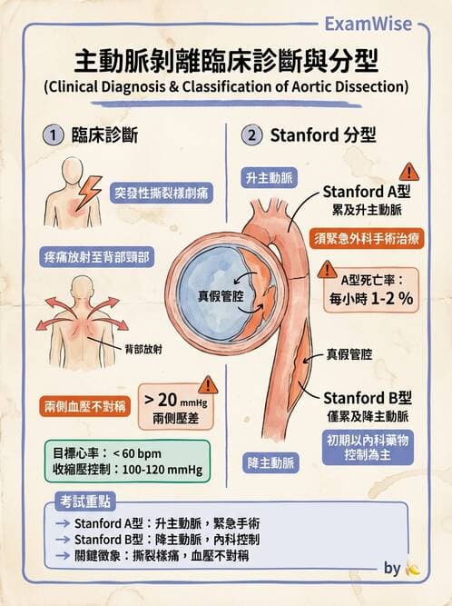 專師 - 主動脈疾病 - AI 圖文解析預覽