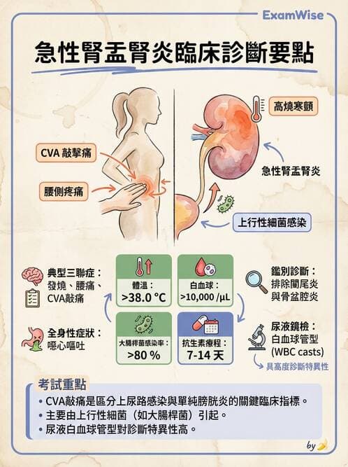 專師 - 糖尿病腎病變與腎絲球疾病 - AI 圖文解析預覽