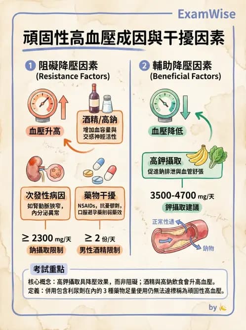 專師 - 高血壓與藥物治療 - AI 圖文解析預覽