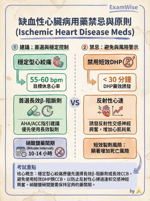 專師 - 心絞痛與穩定型冠心病 - AI 圖文解析預覽