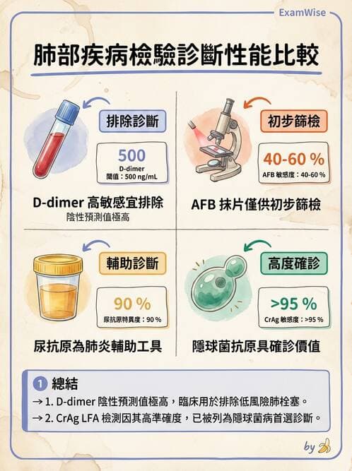 專師 - 肺栓塞與其他肺疾 - AI 圖文解析預覽