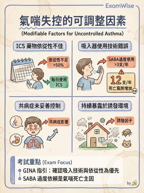 專師 - 阻塞性肺病 - AI 圖文解析預覽