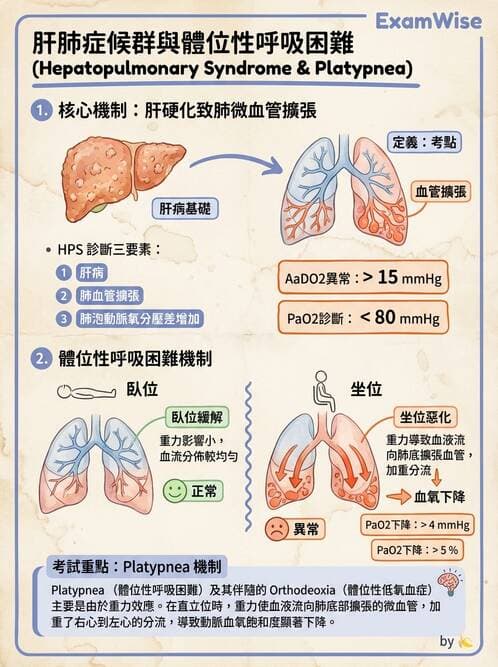 專師 - 肝硬化與併發症 - AI 圖文解析預覽