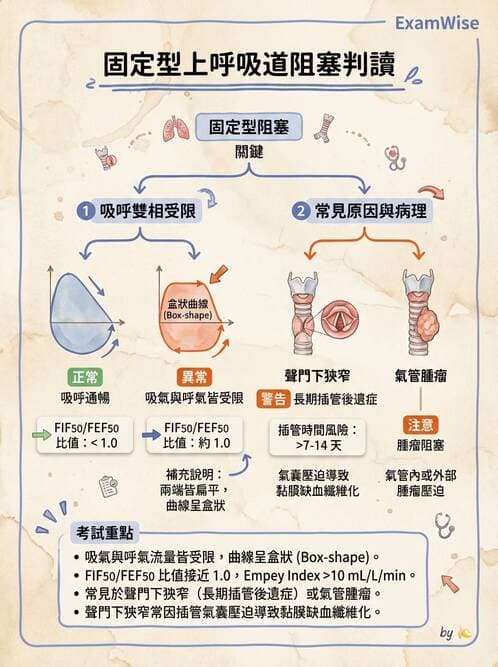 專師 - 阻塞性肺病 - AI 圖文解析預覽