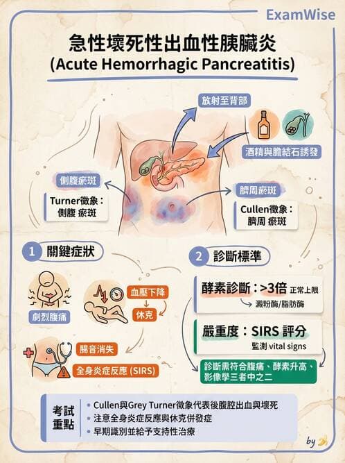 專師 - 膽道與胰臟 - AI 圖文解析預覽