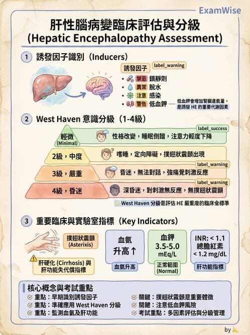 專師 - 肝硬化與併發症 - AI 圖文解析預覽