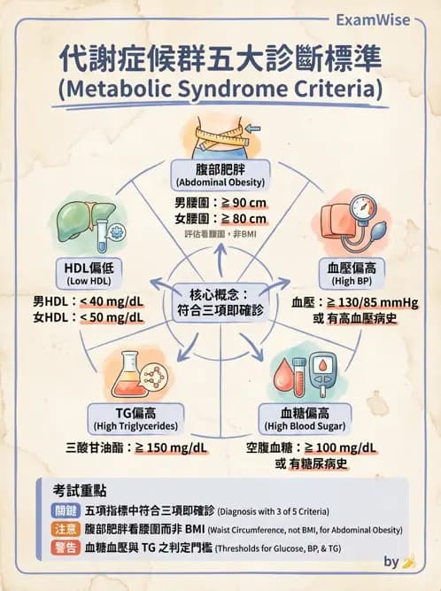 專師 - 代謝症候群與血脂 - AI 圖文解析預覽