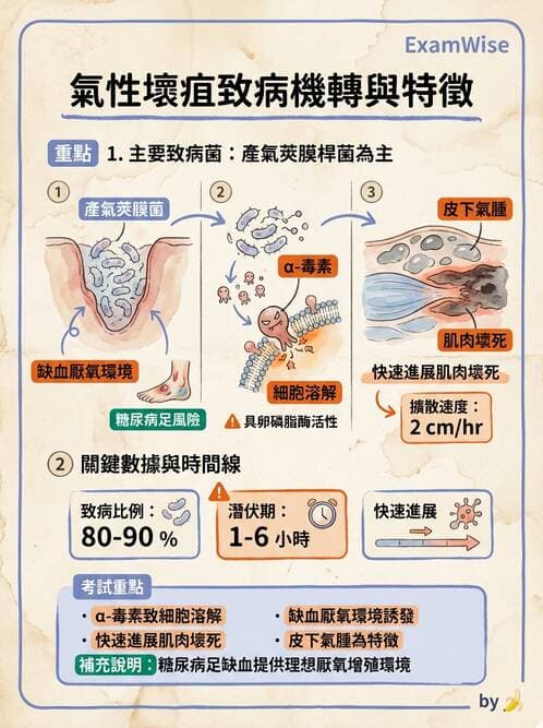 專師 - 皮膚軟組織感染 - AI 圖文解析預覽