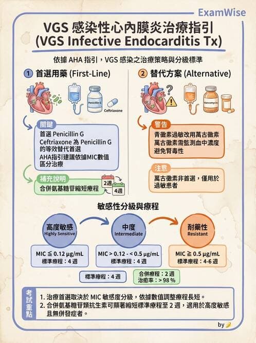 專師 - 感染性心內膜炎 - AI 圖文解析預覽