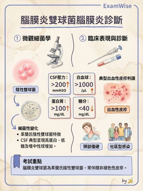 專師 - 中樞神經感染 - AI 圖文解析預覽