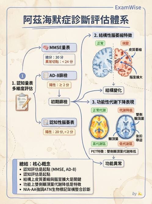 專師 - 神經退化與免疫疾病 - AI 圖文解析預覽