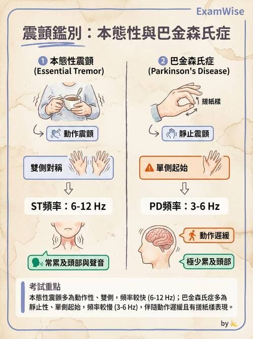 專師 - 神經退化與免疫疾病 - AI 圖文解析預覽