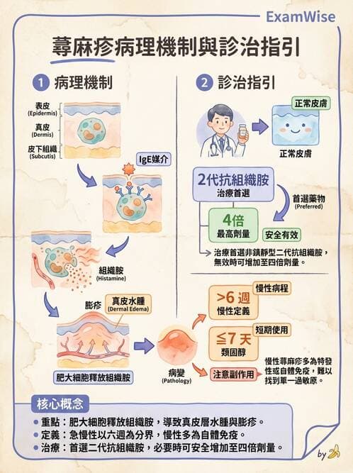 專師 - 風濕免疫疾病 - AI 圖文解析預覽
