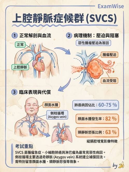專師 - 腫瘤急症 - AI 圖文解析預覽