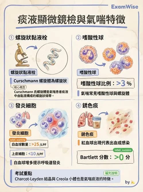 醫檢師 - 痰液一般鏡檢 - AI 圖文解析預覽